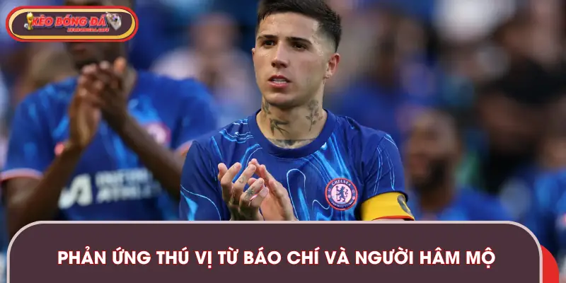 Những phản ứng thú vị từ báo chí và người hâm mộ