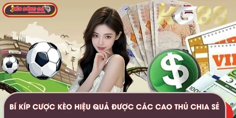 Bí kíp cược kèo hiệu quả được các cao thủ chia sẻ